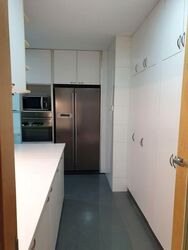 Cairnhill Crest (D9), Condominium #575852651